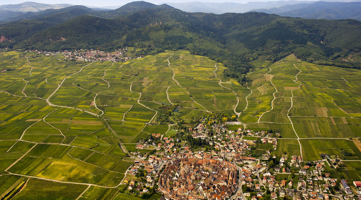 An aerial shot kindly given to me by one of the winemakers in Alsace.